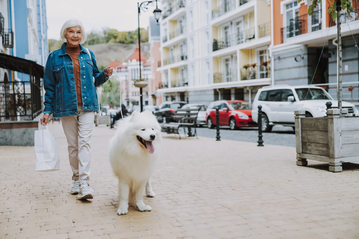 Kutyával vásárolni: idős hölgy ahogy betartja az etikettet az utcán.