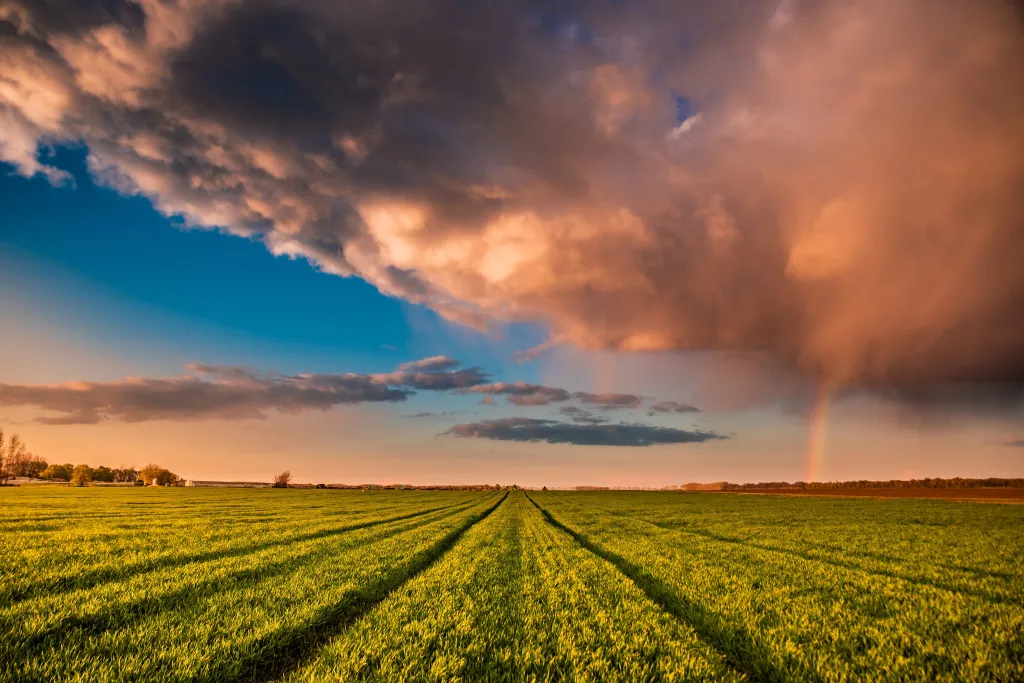ILLUSZTRÁCIÓNAK NE HASZNÁLD!