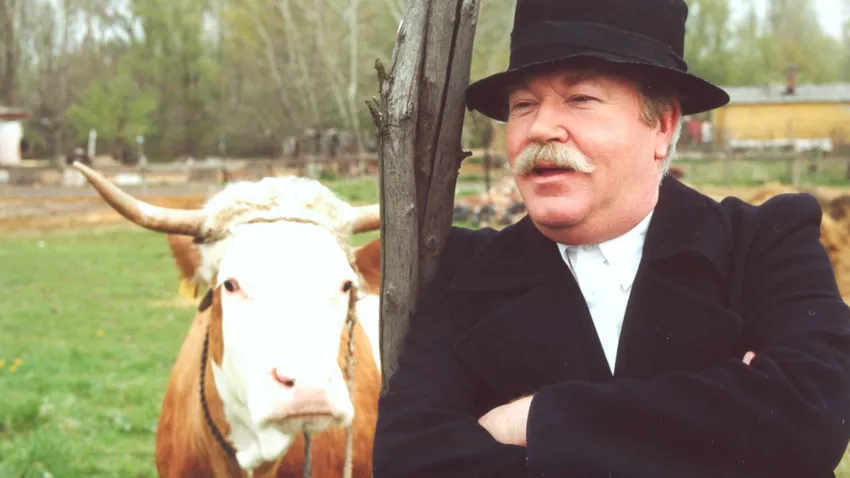 Kvíz kérdést ábrázoló kép