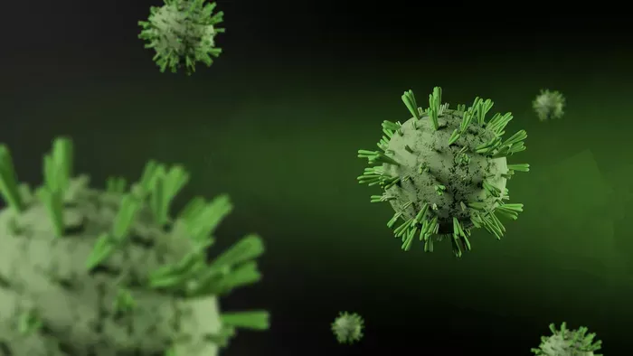 Veszélyes vírus terjed Európában, egy apró állat terjeszti