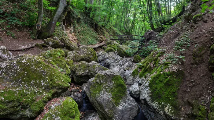 Dera-szurdok: könnyű túra a Pilisben
