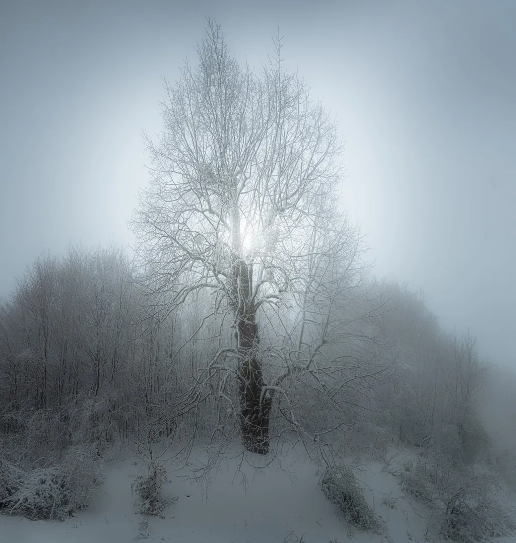 ILLUSZTRÁCIÓNAK NE HASZNÁLD!