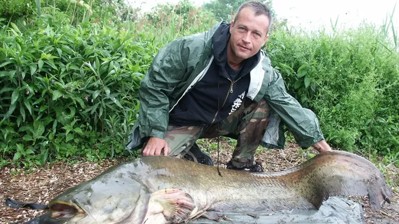 Reagált Döme Gábor újabb javaslatára a Republic gitárosa: A szonár nem fogja meg helyetted a harcsát!