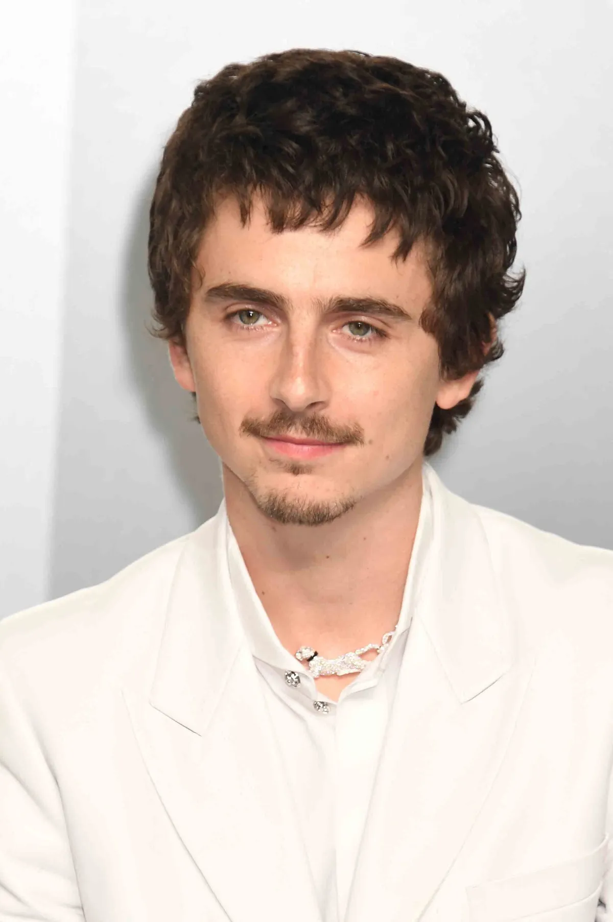 Timothée Chalamet a Vanity Fair Oscar partin.