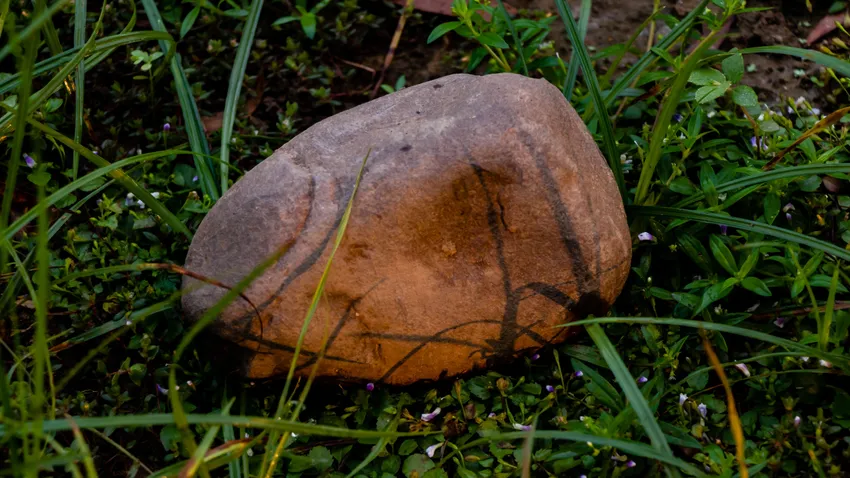 Kvíz kérdést ábrázoló kép