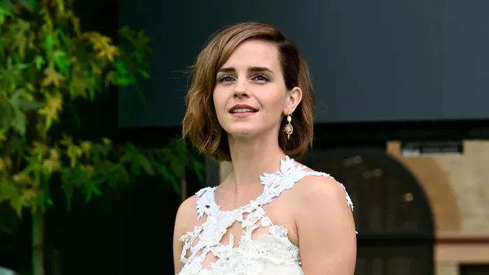 Ki ez a jóvágású milliárdos Emma Watson mellett?