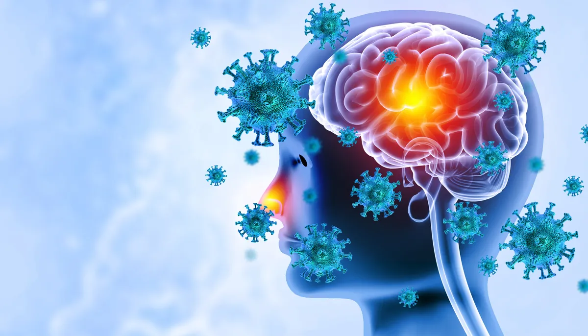 Agyhártyagyulladás illusztrációja vírusokkal és egy emberi alak pirosan világító agyával