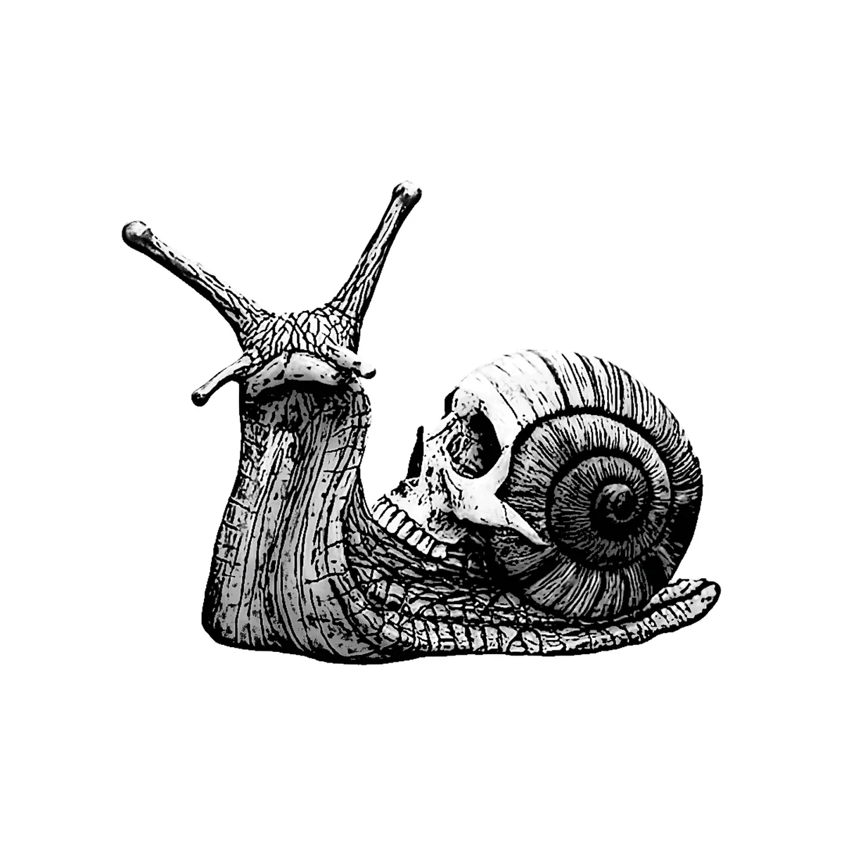 Személyiségtesztben szereplő ábra egy csigáról és egy koponyáról.