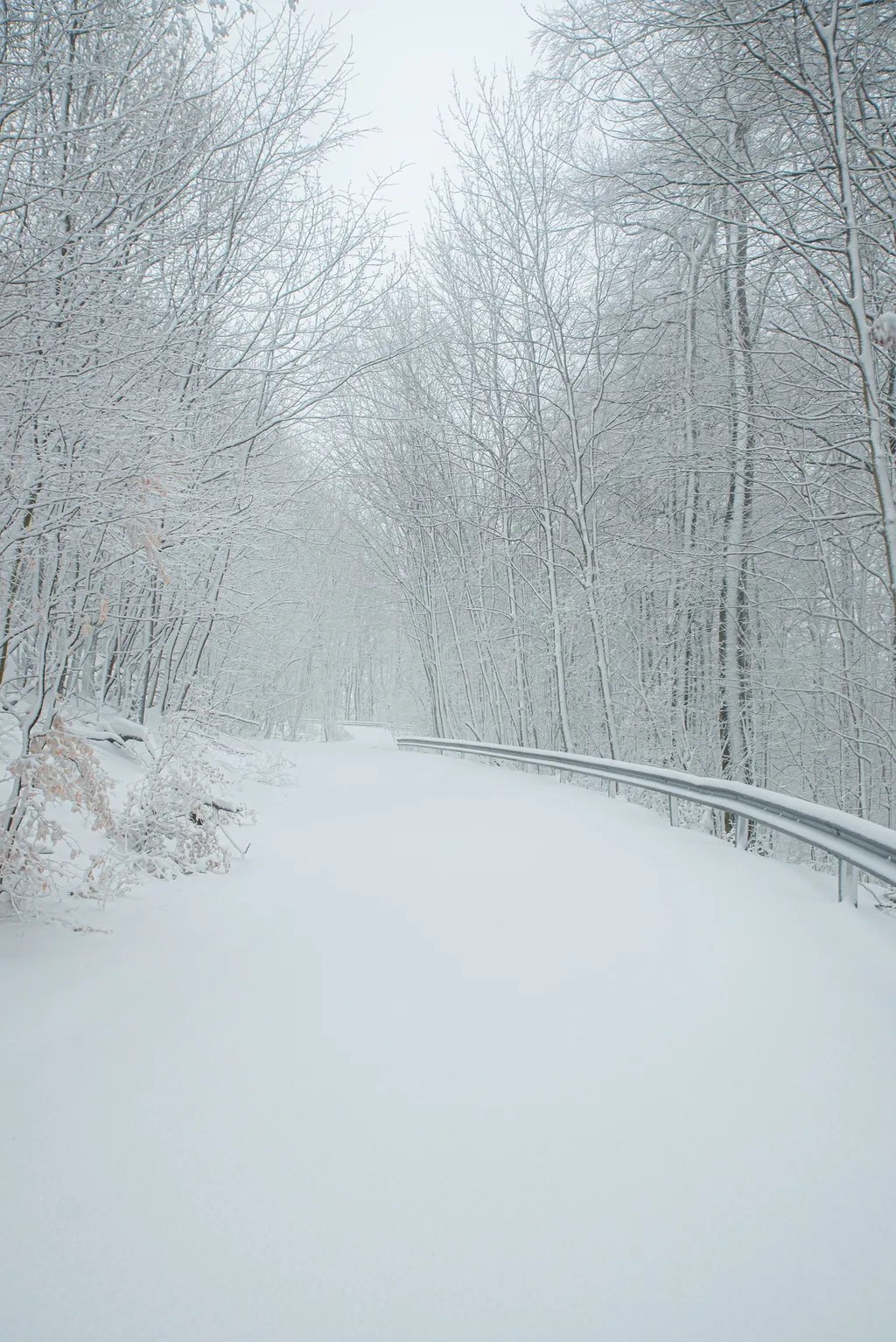 ILLUSZTRÁCIÓNAK NE HASZNÁLD!