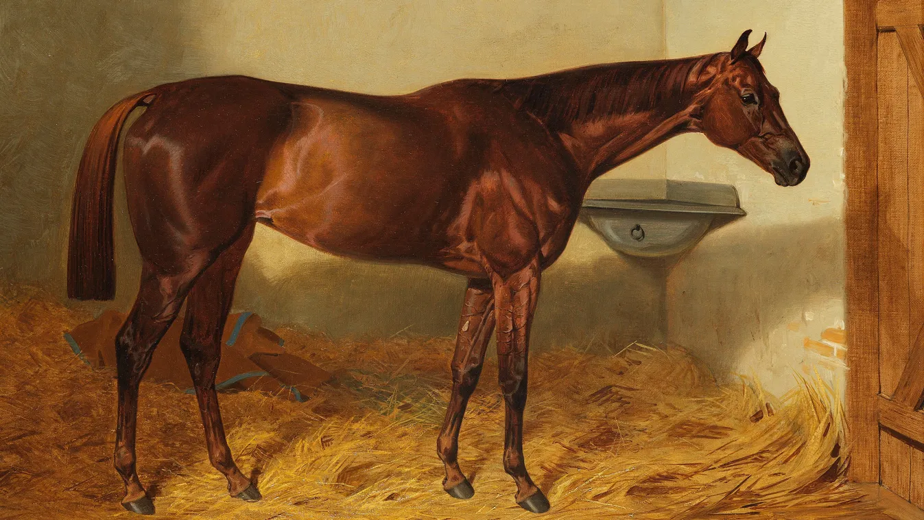 Kincsem, a magyar csodaló.