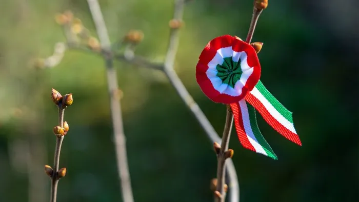 Új részletek derültek ki a március 15-i rendezvényről