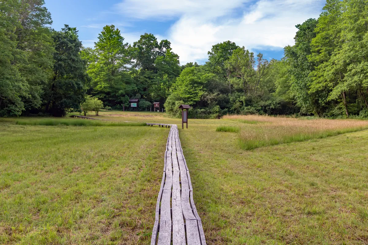 A Szőcei tőzegmohás láprét tökéletes úti cél a tavaszi szünet alatt.
