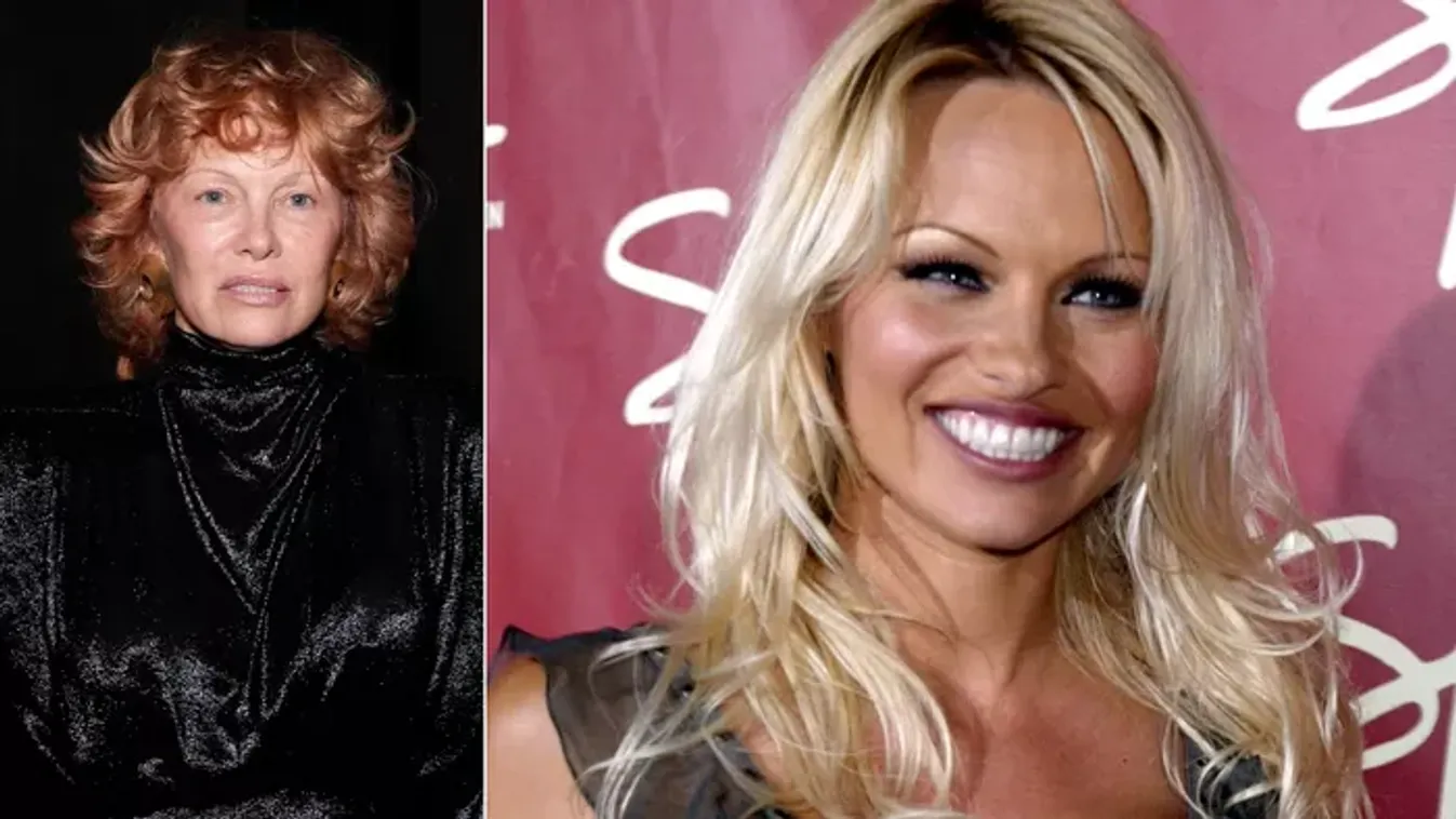 Teljesen eltűnt a régi Pamela Anderson: az egykori bombázó ismét smink nélkül kampányol