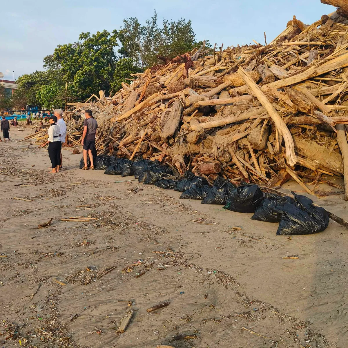 Harminc nagy zsák szemetet szedtek össze az óceán partján 