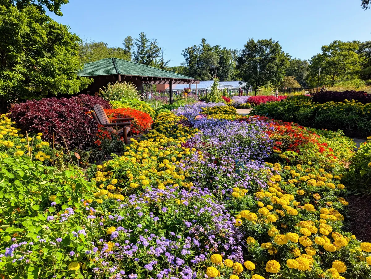 Virágos kert áprilisi ültetés után