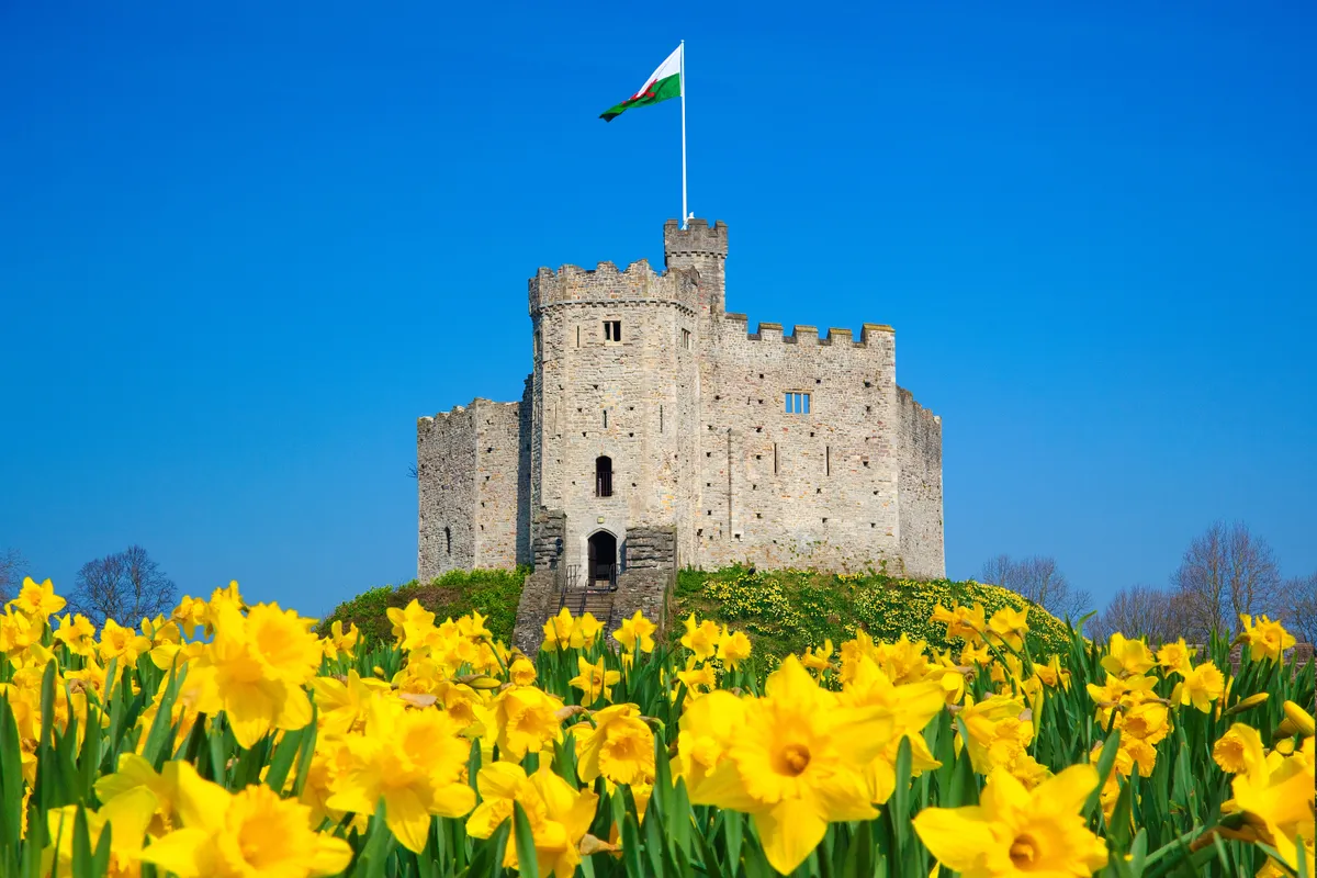 Cardiff vára egy náciszmező közepén.