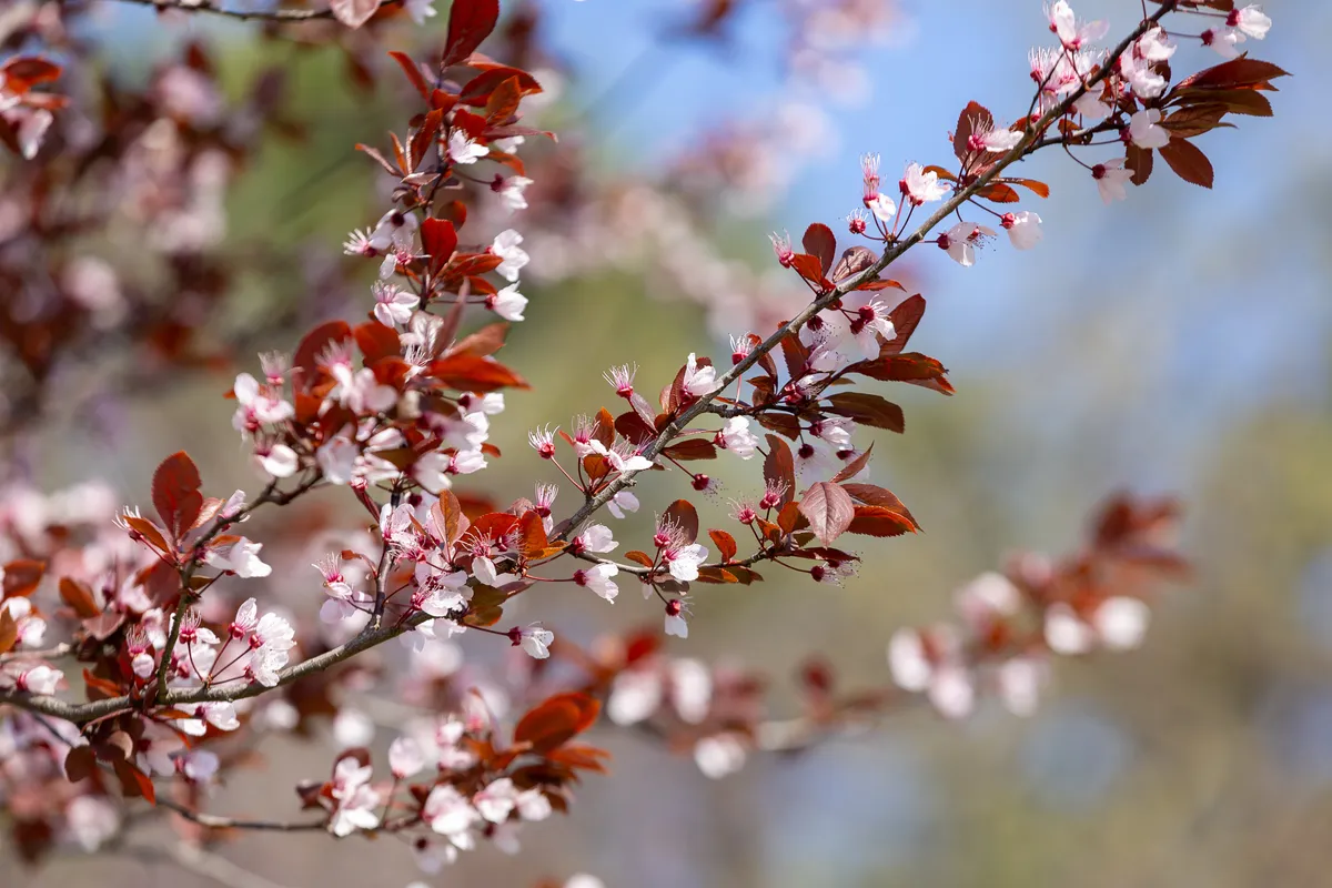 Húsvét alatt nem kell félnünk az esőtől