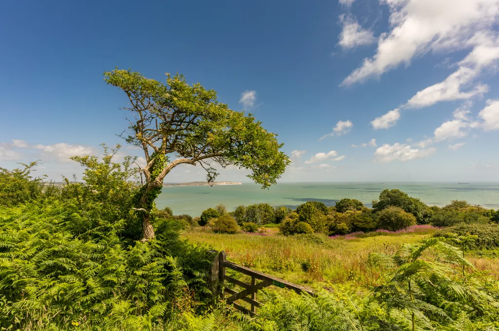 Kilátás a Sandown-öbölre a Shanklin mellett található Luccombe faluból.