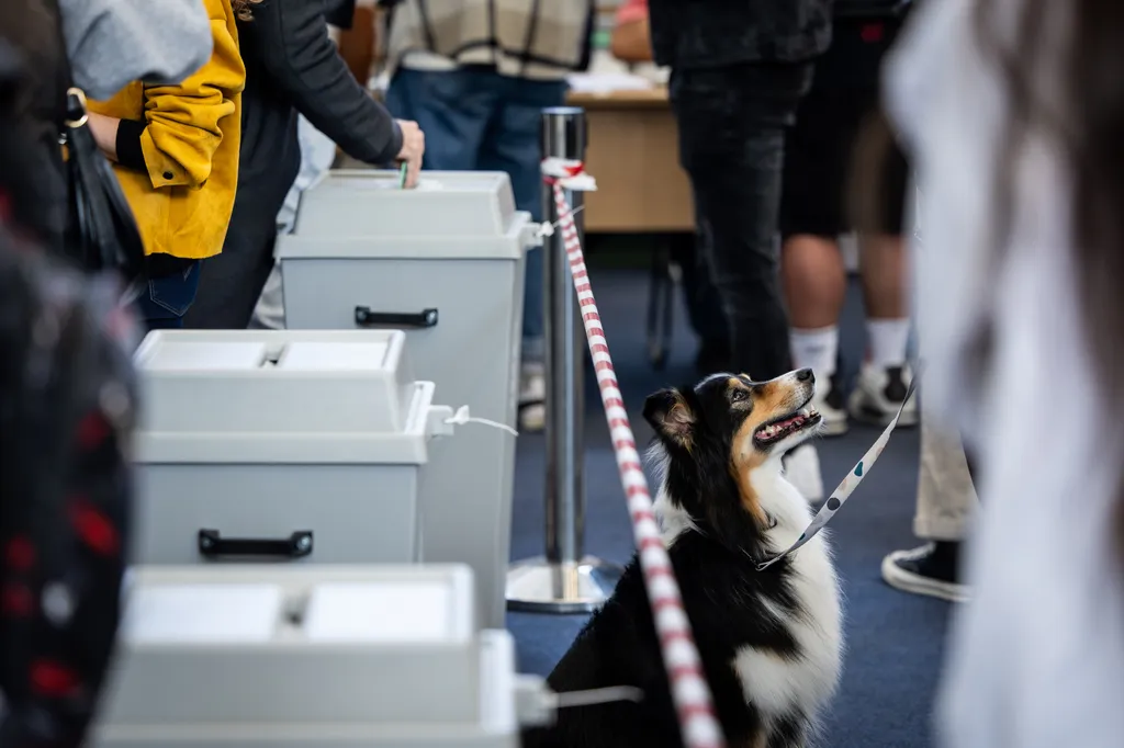 Átjelentkező szavazók Választás.2026