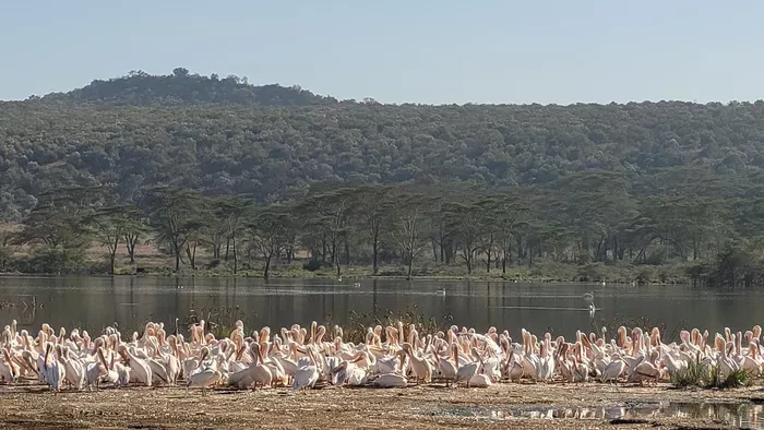 Sosem látott arcát mutatja meg Kenya Ritának