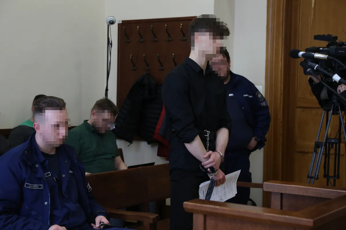 Előkészítő ülésen állt bíróség elé Révész Zsuzsa feltételezett gyilkosa. 