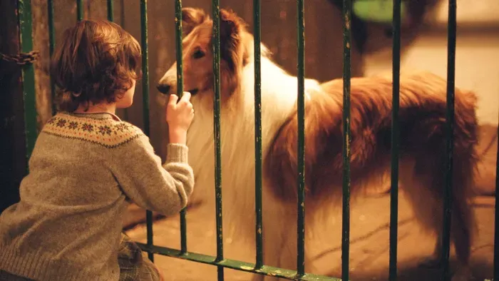 Ezek az állatos filmek megmutatják a legfontosabb dolgokat