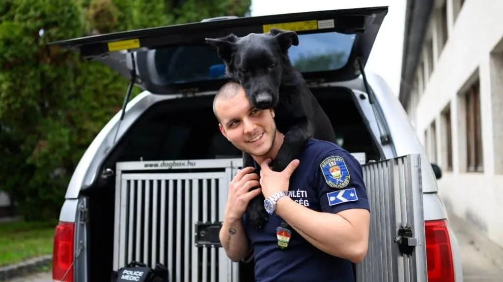 Szolgálaton kívüli rendőr mentett életet