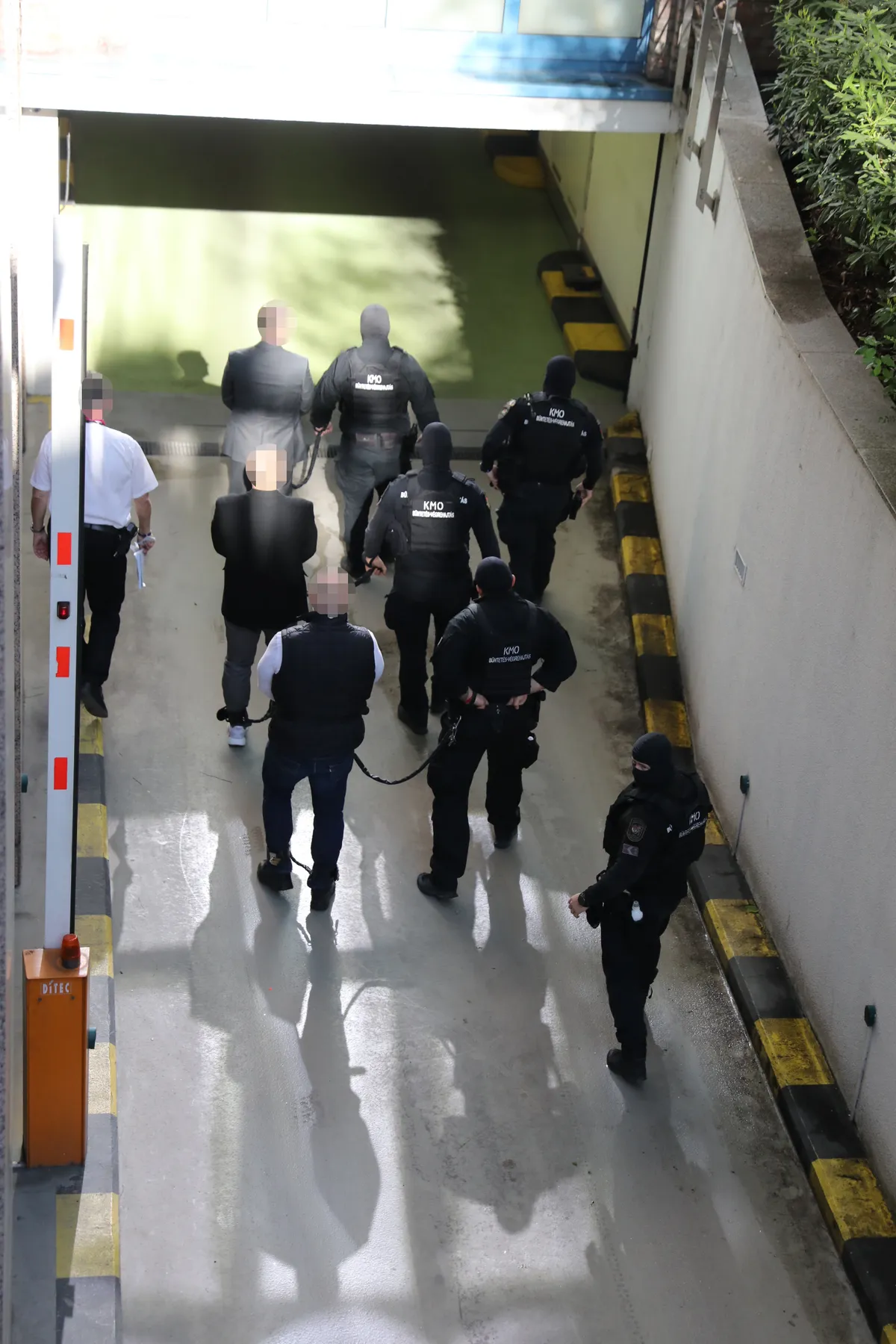 Curtis bátyjának a pere 2.
2026.04.24