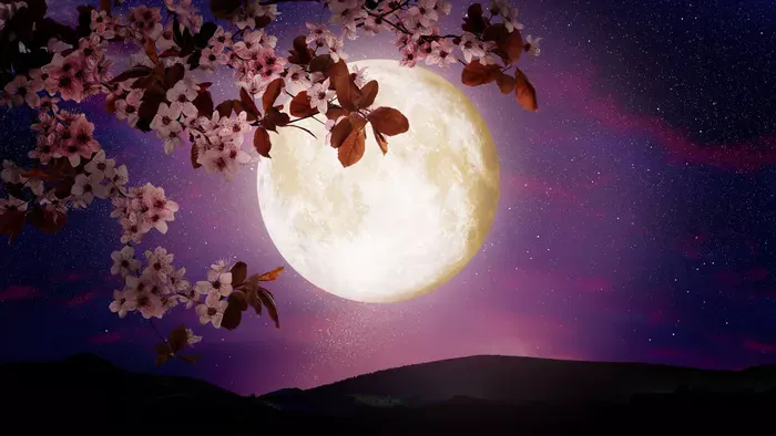 Cseresznyevirágzás rituálé az új szerelem bevonzásáért