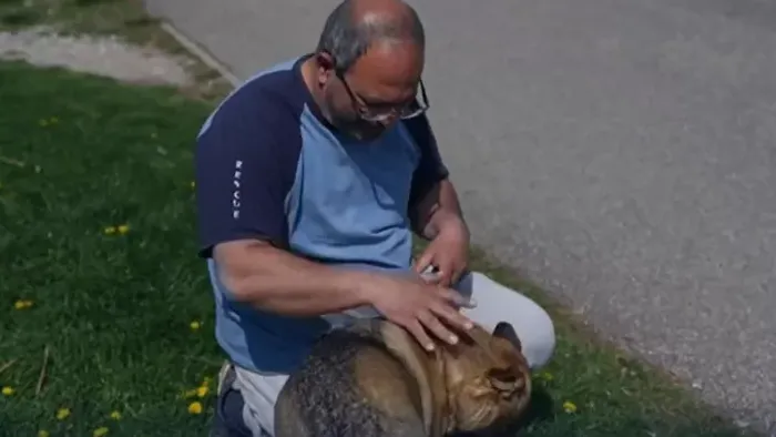 Kutyája mentette meg András életét: perceken múlott minden