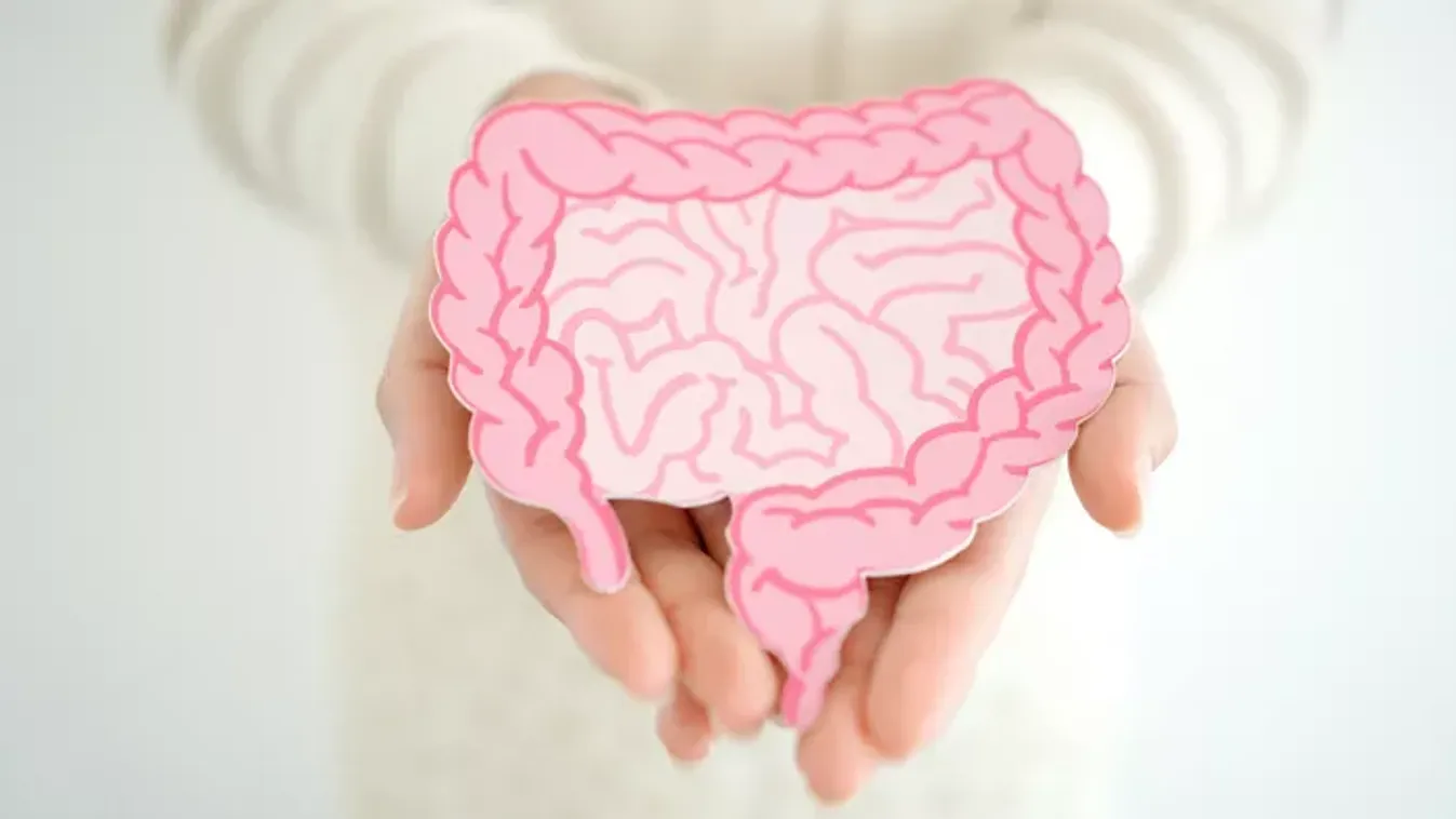 Megdöbbentő: akivel együtt élsz, az a beleidben is nyomot hagy