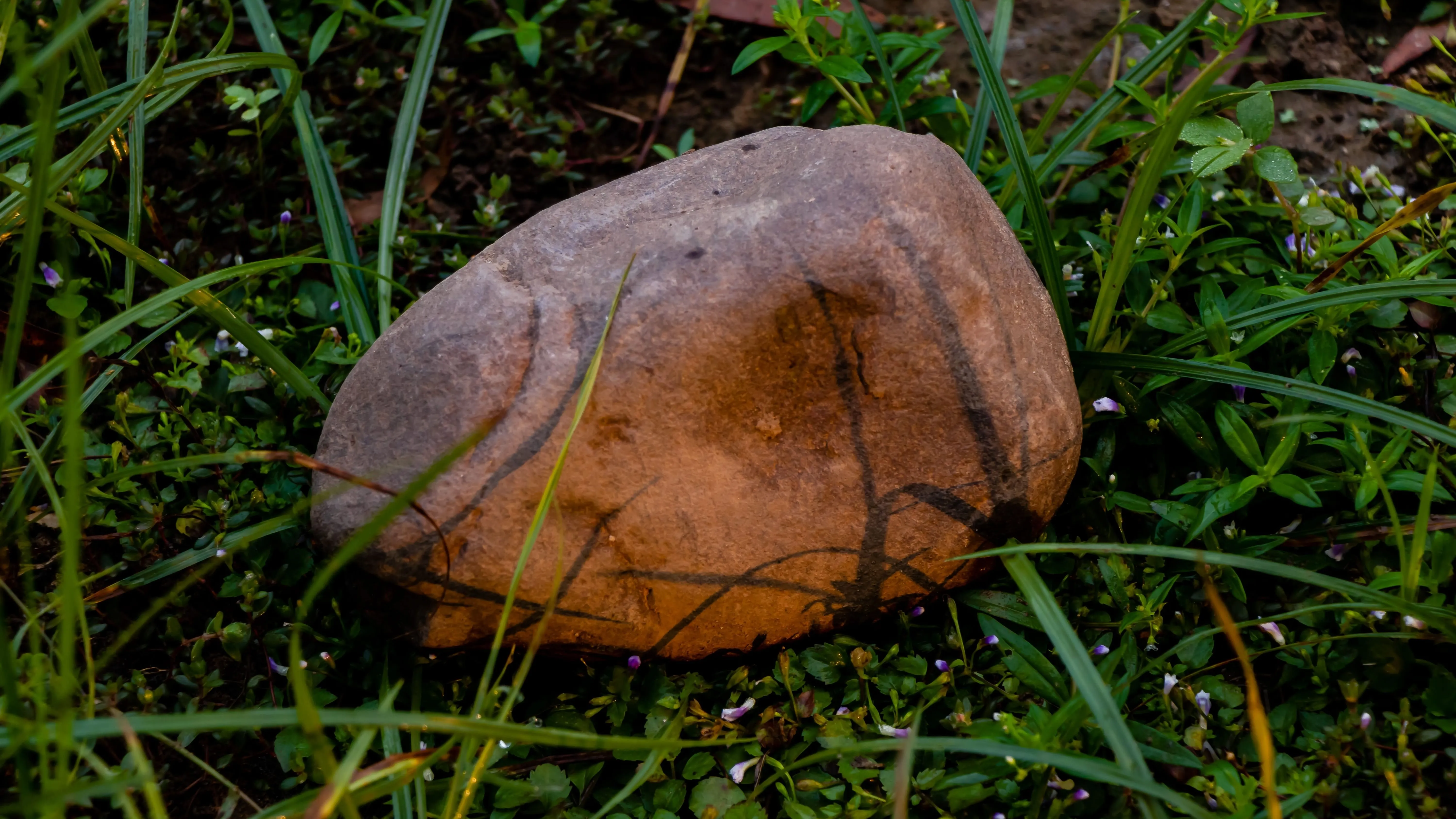 Kvíz kérdést ábrázoló kép