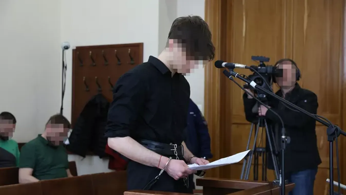 Beismerte a gyilkosságot Révész Zsuzsa gyilkosa