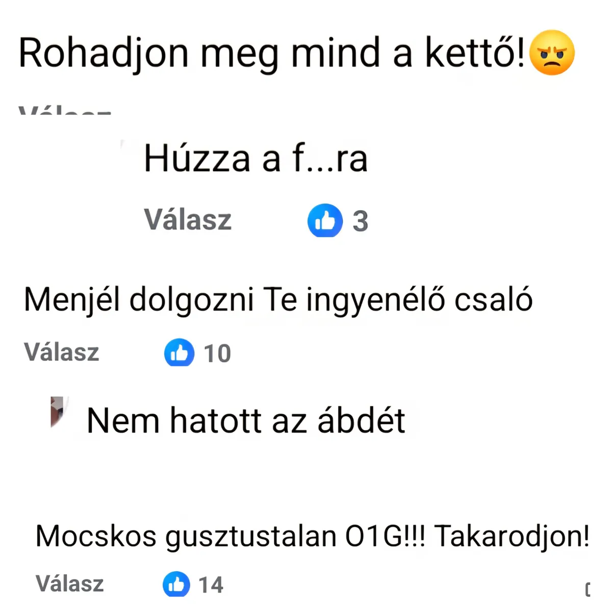 A baloldali trollok vérlázító dolgokat írtak Rubint Rékáról.