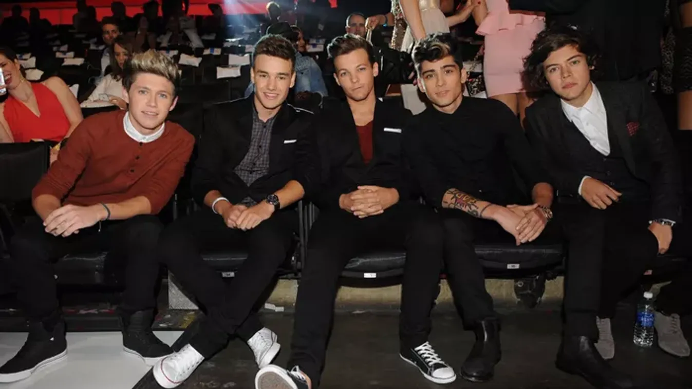 Rohantak a mentők a One Direction sztárjával: nagy a baj