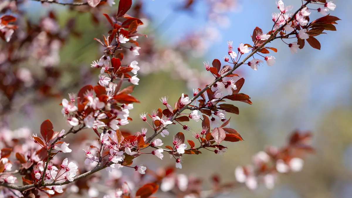 Kiderült, milyen idő vár ránk húsvétkor, most eláruljuk!