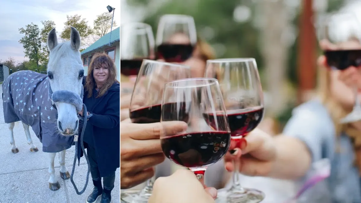 Zalatnay Cini lova 36 éves. Egy jó bor is a korral nemesedik