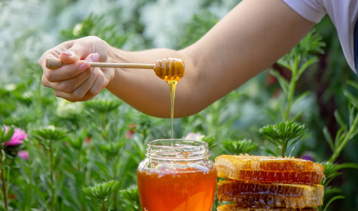 A legjobb méz nyomában