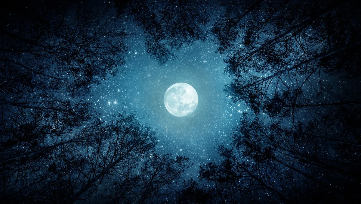 Telihold egy erdőben a személyiségtesztben.