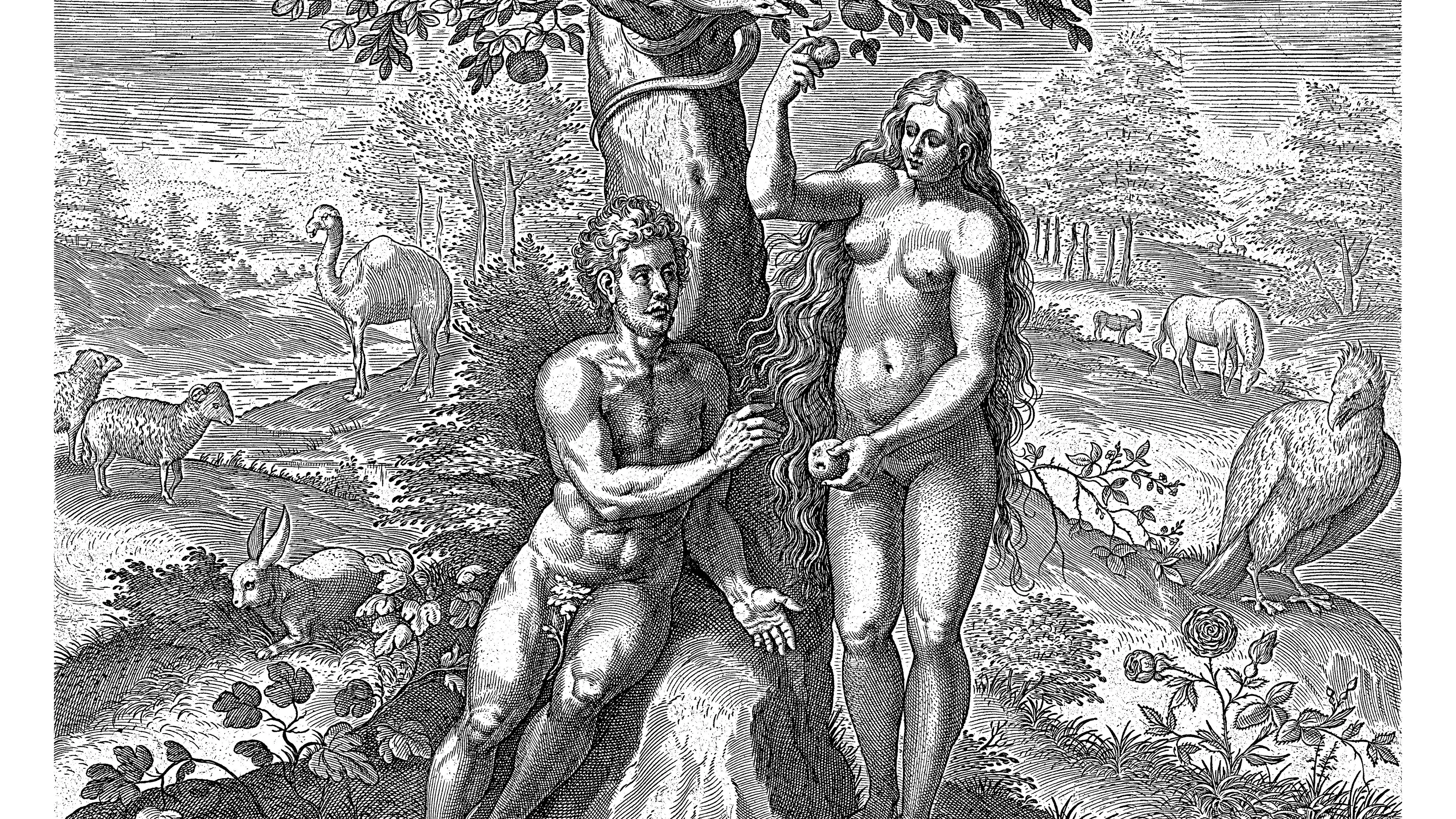 Kvíz kérdést ábrázoló kép