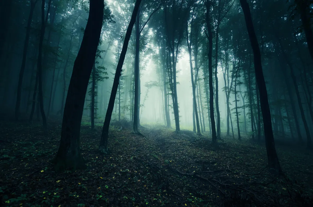 A Nick Pope által is feldolgozott Rendlesham erdőben történt UFO-észlelés.