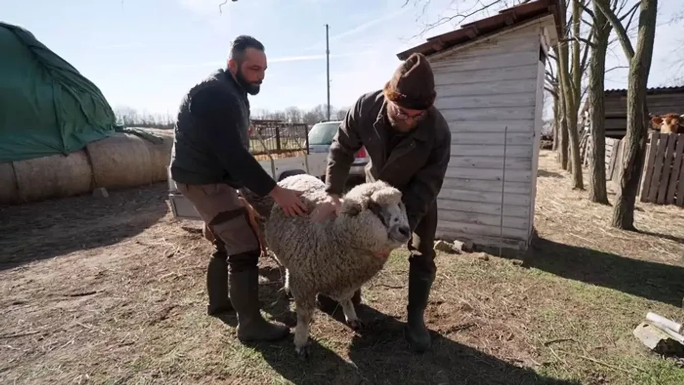 A tanyasi életet is lehet tanítani: Sipos Mihály bárkiből gazdát nevel