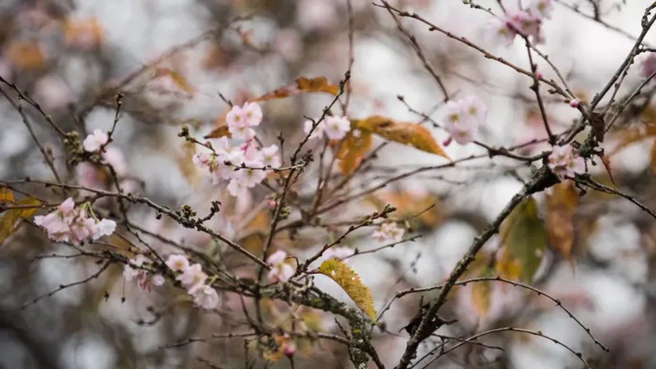 Fordulatot vesz az időjárás, erre kell felkészülni