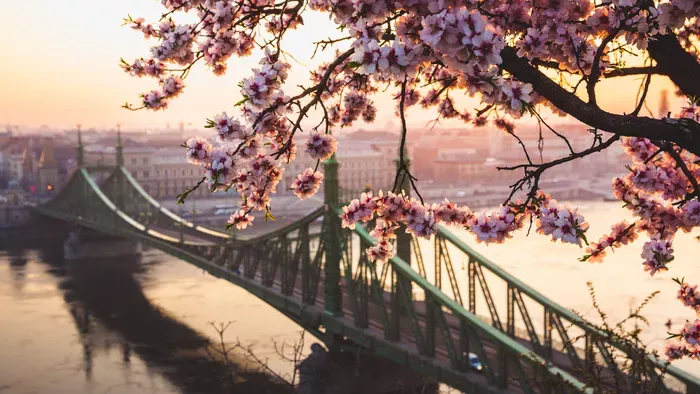 Tavaszi szünet másképp – Rejtett oázisok Budapest szívében