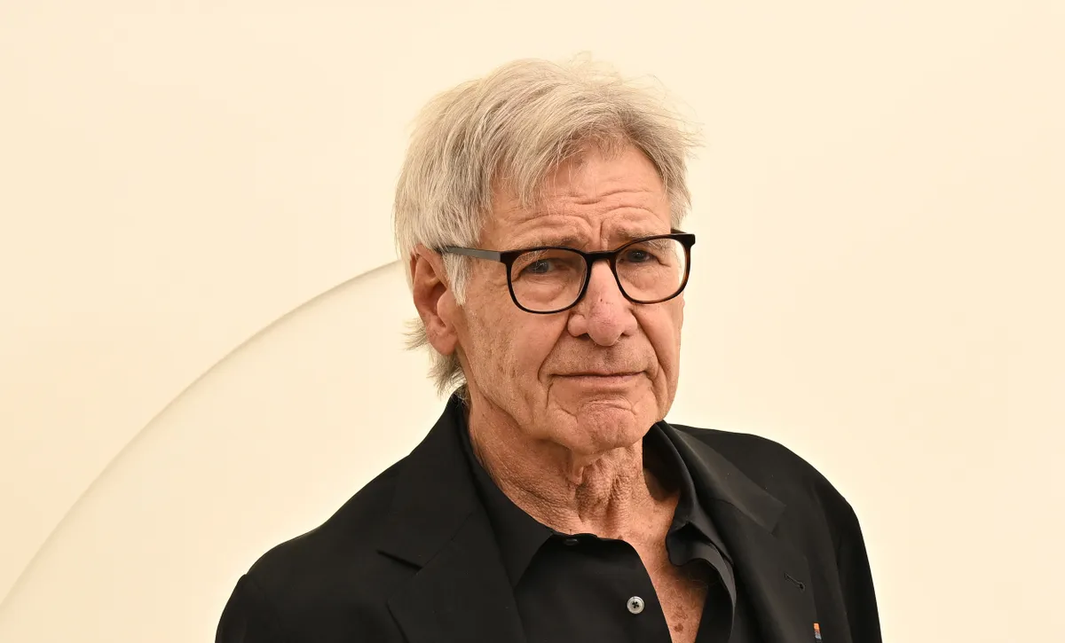 Harrison Ford portréja. 