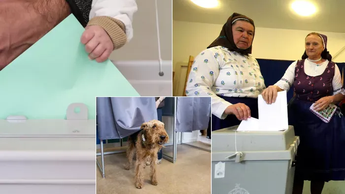 Összegyűjtöttük a választások legkülönlegesebb fotóit!