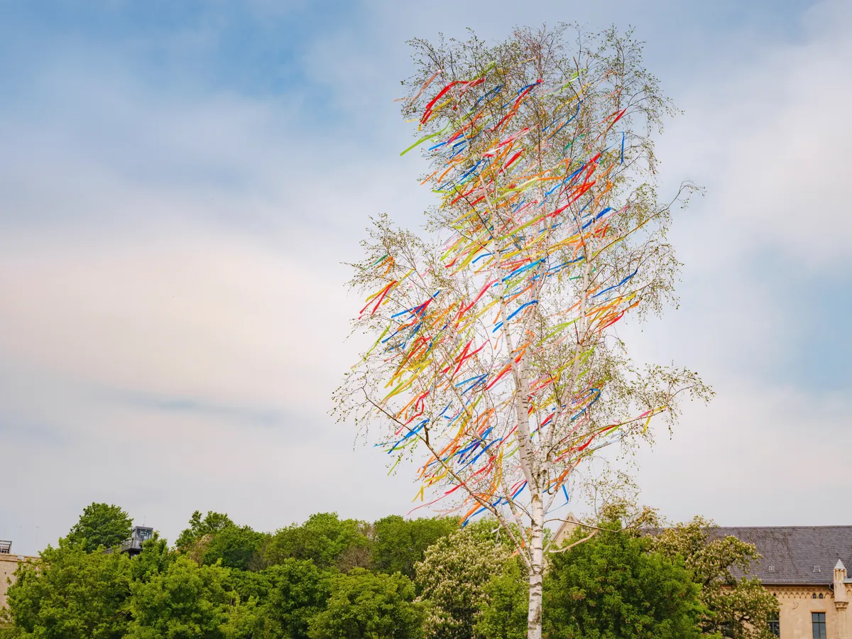 Májusfa szalagokkal