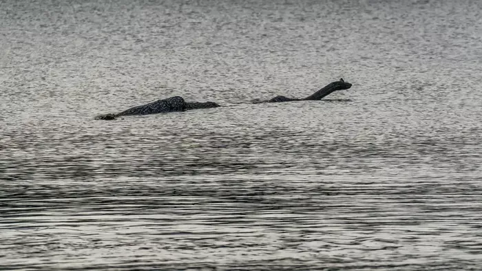 Valamit láttak a tó vízében, ami túl nagy volt egy kígyóhoz