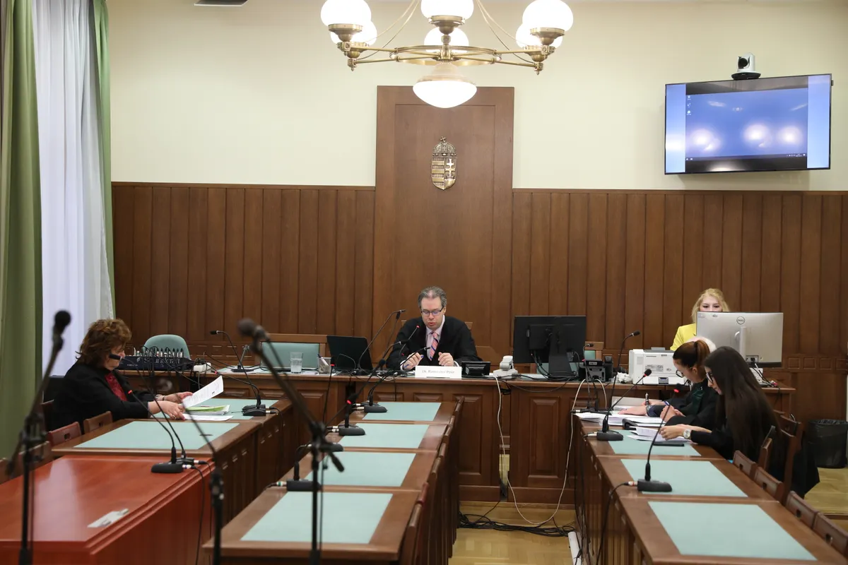 drog, kokain, Csepel, albán férfi