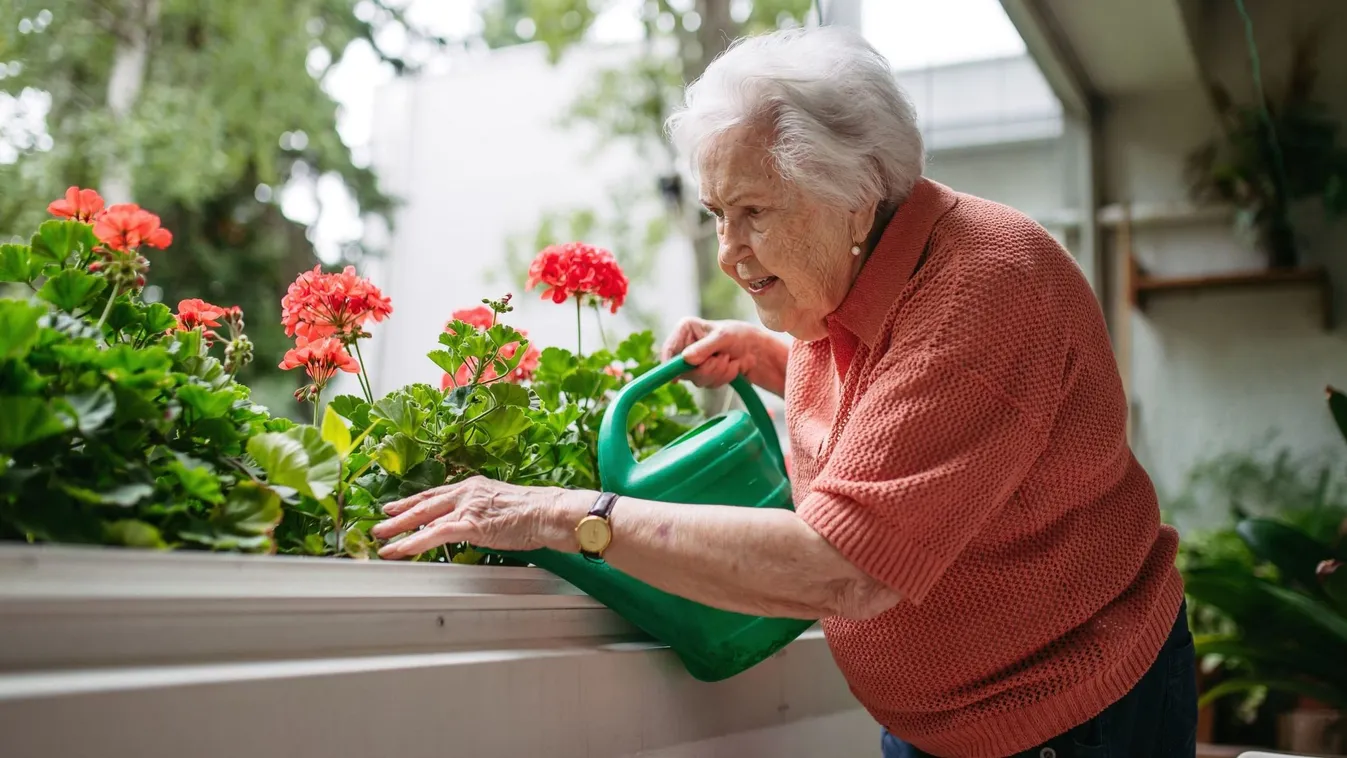 Idős asszony balkon kertészkedés közben
